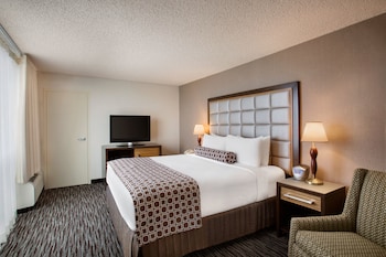 Suite, 1 Bedroom
