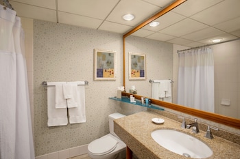 Premium Room, 1 King Bed, Refrigerator (High Floor)