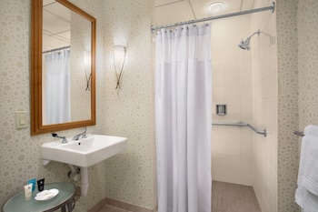 Standard Room, 1 King Bed, Roll-in Shower (Mobility, Roll-In Shower)