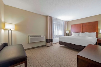 Suite, 1 King Bed with Sofa bed, Non Smoking