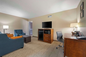 Suite, 1 King Bed with Sofa bed, Non Smoking