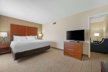 Suite, 1 King Bed with Sofa bed, Non Smoking