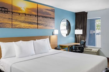 Room, 1 King Bed