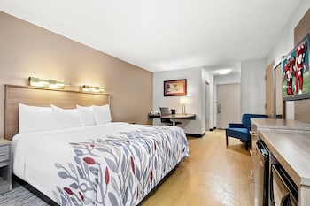 Superior Room, 1 King Bed, Non Smoking