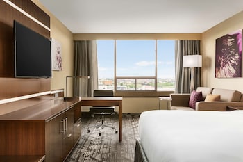 Room, 1 King Bed (Larger Room)
