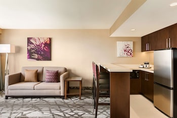 Studio Suite, 1 King Bed
