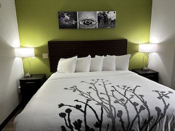 Room, 1 King Bed, Accessible, Non Smoking