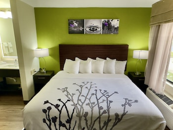Room, 1 King Bed, Non Smoking