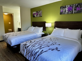Standard Room, 2 Double Beds, Non Smoking