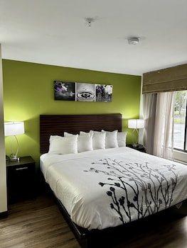 Room, 1 King Bed, Non Smoking