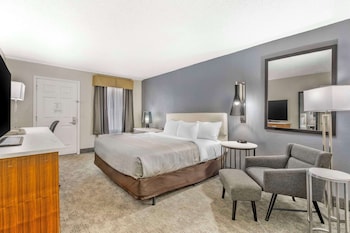 Standard Room, 1 King Bed, Non Smoking