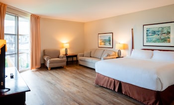 Standard Single Room, 1 King Bed with Sofa bed
