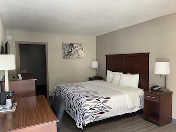 Deluxe Room, 1 King Bed, Accessible, Non Smoking