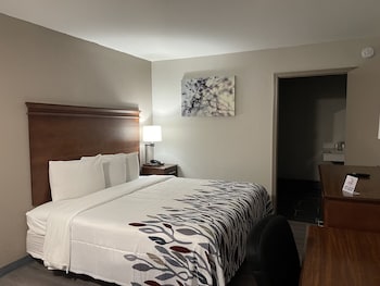 Deluxe Room, 1 King Bed, Accessible, Non Smoking