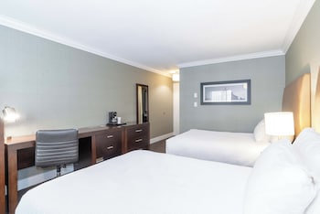 Standard Double Room, 2 Double Beds
