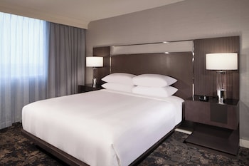Room, 1 King Bed