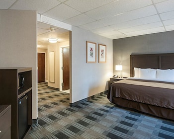 Standard Room, 1 King Bed, Non Smoking (Courtyard)