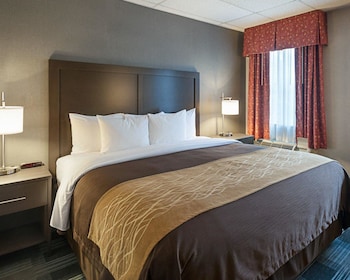Standard Room, 1 King Bed, Non Smoking (Courtyard)