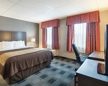 Standard Room, 1 King Bed, Non Smoking (Courtyard)