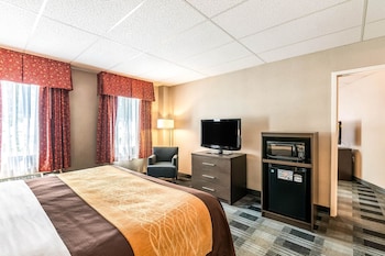 Standard Room, 1 King Bed, Non Smoking (Courtyard)