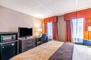 Standard Room, 1 King Bed, Non Smoking (No Pets)