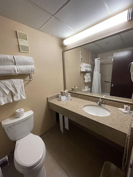 Room, 1 King Bed with Sofa bed, Non Smoking