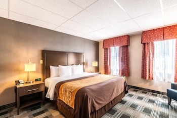 Room, 1 King Bed, Accessible, Non Smoking