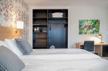 Deluxe Double Room, 1 King Bed with Sofa bed (Including a light evening meal)
