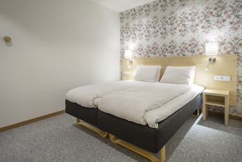 Standard Double Room, No Windows (Including a light evening meal)