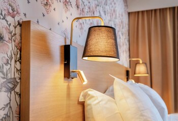 Superior Double Room, 1 King Bed (Including a light evening meal)