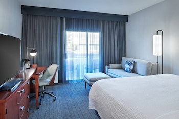 Room, 1 King Bed with Sofa bed