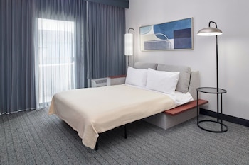 Room, 1 King Bed with Sofa bed