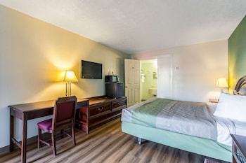 Room, 1 King Bed, Non Smoking