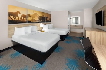 Double Room, 2 Double Beds