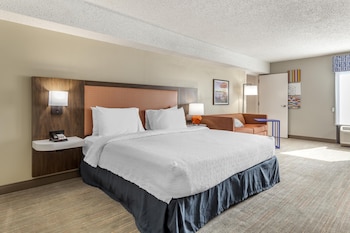 Room, 1 King Bed, Accessible, Non Smoking