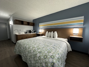 Studio, 1 King Bed, Accessible, Non Smoking