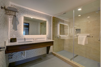 Suite, 1 King Bed