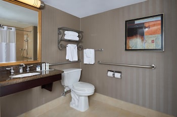 Room, 1 King Bed, Accessible, Non Smoking