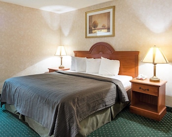 Standard Room, 1 King Bed, Non Smoking (Pet Friendly)