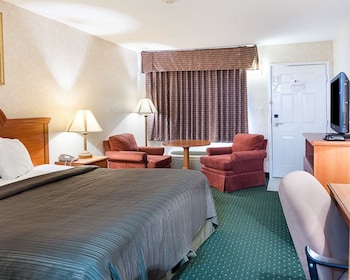 Standard Room, 1 King Bed, Non Smoking (Pet Friendly)