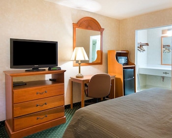 Standard Room, 2 Double Beds, Smoking (Pet Friendly)