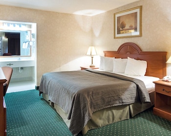 Standard Room, 1 King Bed, Non Smoking (Pet Friendly)