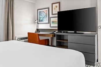 Suite, 1 King Bed with Sofa bed, Non Smoking (Upgrade)