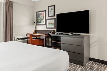 Suite, 1 King Bed with Sofa bed, Accessible, Non Smoking (Efficiency)