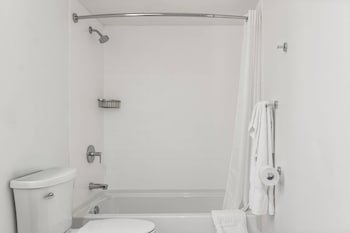 Suite, 1 King Bed with Sofa bed, Accessible, Non Smoking (Efficiency)