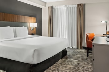 Suite, 1 King Bed with Sofa bed, Accessible, Non Smoking (Efficiency)