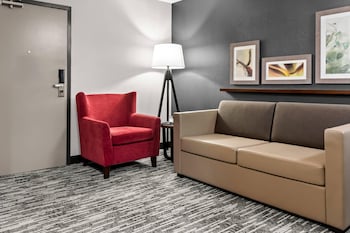 Suite, 1 King Bed with Sofa bed, Non Smoking (Upgrade)