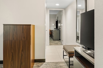 Suite, 1 King Bed with Sofa bed, Accessible, Non Smoking (Efficiency)