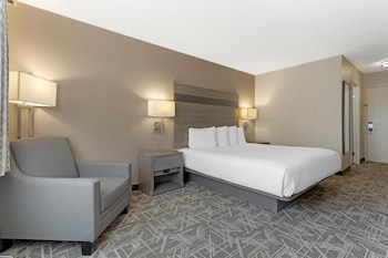 Standard Room, 1 King Bed, Non Smoking, Refrigerator & Microwave (Pet Friendly)