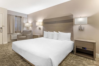 Standard Room, 1 King Bed, Accessible, Bathtub